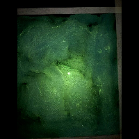 Item 1
